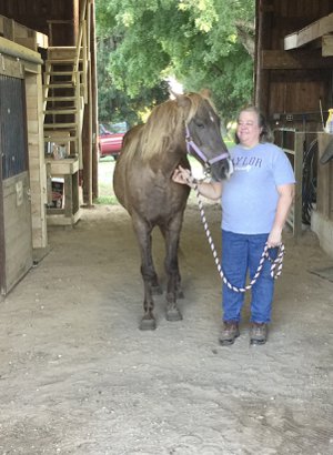 Vandalia Realtor Specializing in Horse Properties