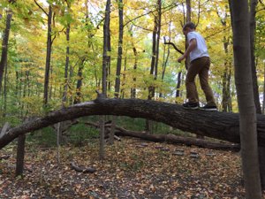 Fun Places In Dayton Ohio