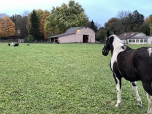 Fairborn Homes With Acreage