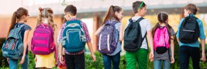 Local Schools
