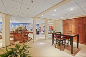Finished Basement in Dayton Luxury Homes for sale at CCN