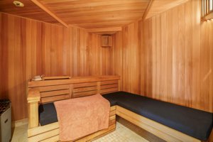 Steam Sauna in Dayton Luxury Home For Sale