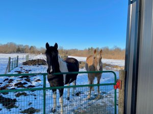 Preparing Your Horse Property for Ohio Winters