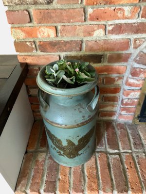 antique milk can plant pot