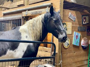 Preparing your horse barn for winter