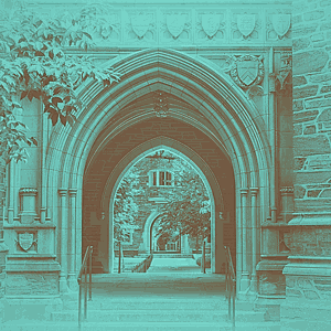 princeton university arches