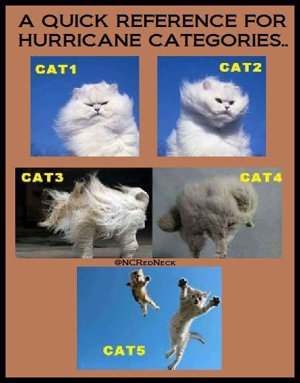 Hurricane meme