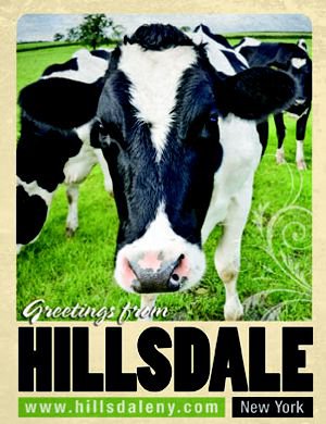 Hillsdale New York Homes for Sale Farms