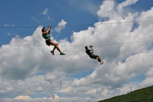 Livingston New York Homes for Sale zipline