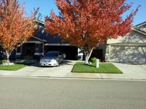 elk grove for sale by owner