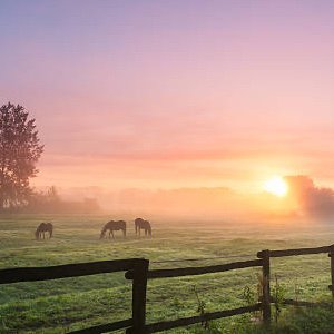 Real Estate Listings NOVA Scenic Homes
