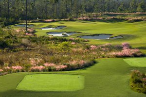 Vancleave Homes For Sale - The Preserve Golf Course