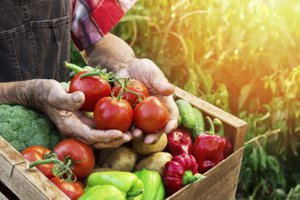 Fresh Vegetables