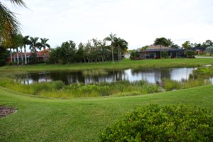 Lake view at Laurel Meadows in Sarasota