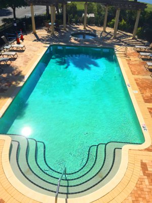 The Tropical Palm Tree Lined Pool at Watercrest in Lakewood Ranch