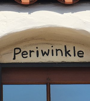 Periwinkle in Carmel by the Sea