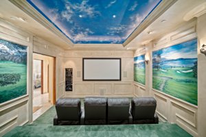 1519 Riata Theater Room