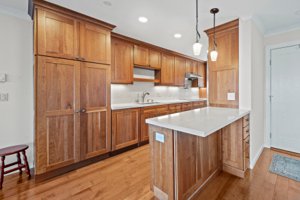 27 Shepherds Knoll kitchen 2