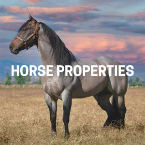 Tahoe Horse Properties
