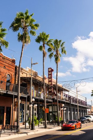 Tampa FL Listings Arts and Entertainment and Homes for Sale