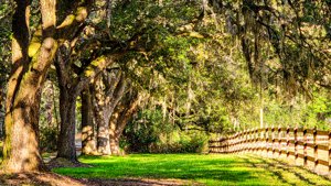 Colleton County Farms