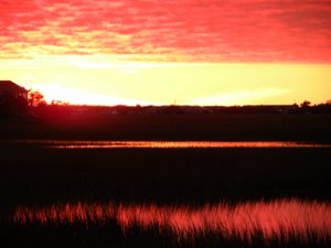 Edisto Beach Sunsets