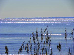 Edisto Beach Days