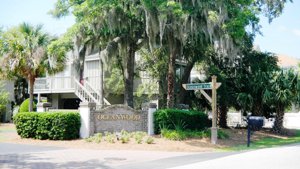 Oceanwood Trace