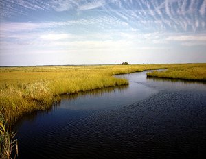 Great Egg Harbor River