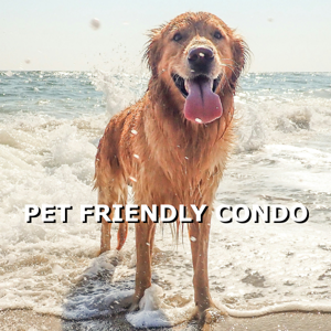 Pet Friendly View Vero Beach Homes FL