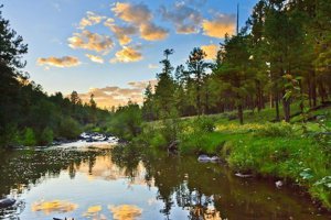 Pinetop-Lakeside, AZ Real Estate - Pinetop-Lakeside Homes for Sale