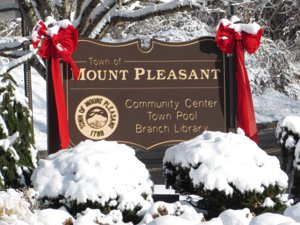 Mount Pleasant NY Real Estate Market Report 