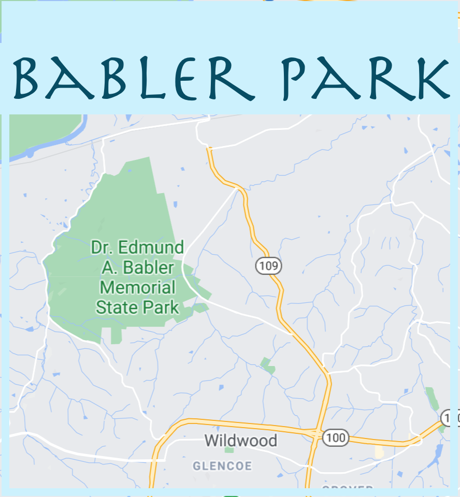 Homes Near Babler Park Trails