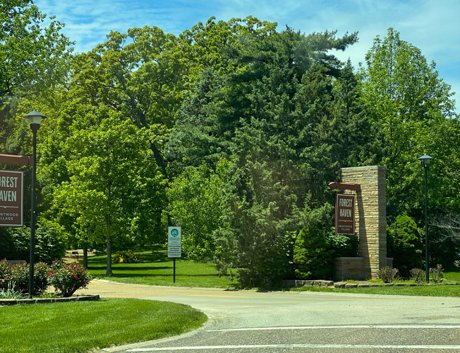 Forest Haven neighborhood