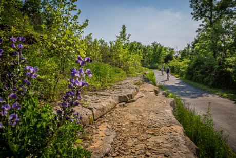 Brookhaven Community College Walking And Running Trail - Dallas, Texas, USA