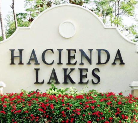 Hacienda Lakes homes for sale in Naples