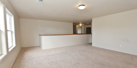 1810 W Dew Mist Dr Nampa, ID 83651 08