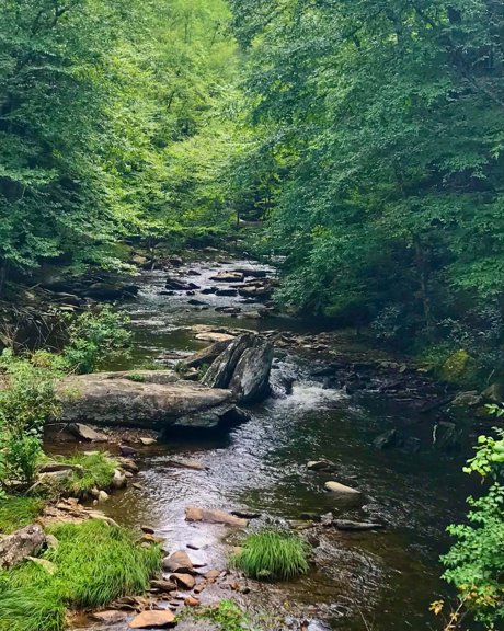 Boone Fork Creek winding through Twin Rivers.