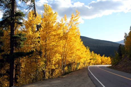 Fall Colors In The Colorado High Country 