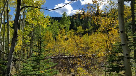 Golden Gate Canyon State Park Golden, CO 