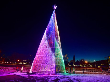 Denver Mile High Christmas Tree Denver CO