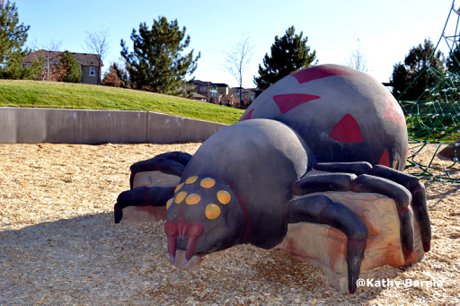 New Playground Equipment Wheatlands Metro District Aurora, CO 