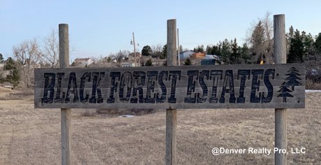 Black Forest Estates Neighborhood Monument Parker, CO