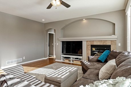 Gas Fireplace In Family Room 