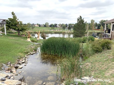 Meadows Sanctuary Neighborhood Lake Littleton, CO
