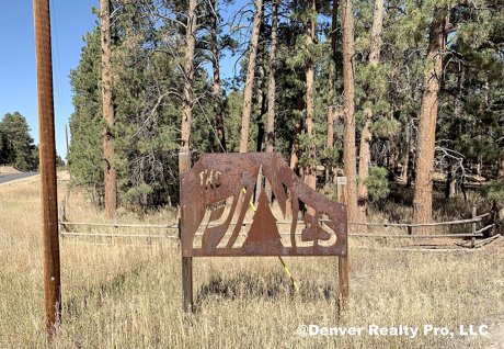 The Pines Community Monument Elizabeth, CO