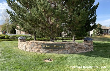 Winter Berry Community Monument Castle Pines, CO