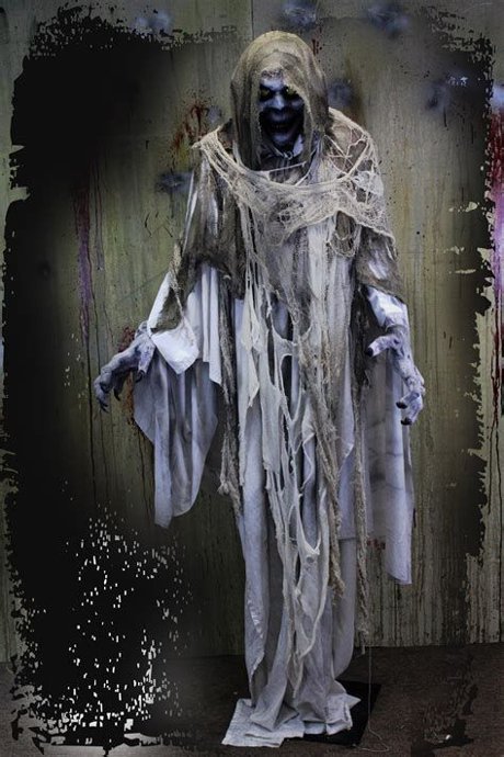 Haunted House Costume Photo