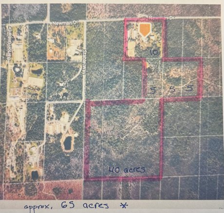Naples horse property for sale on 65 acres with riding trails.