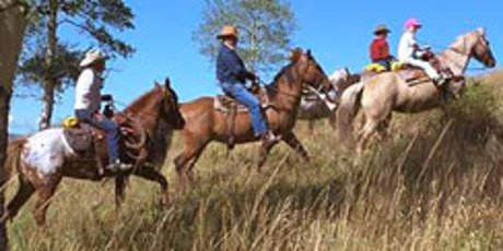 Naples FL horse property for sale in Golden Gate Estates